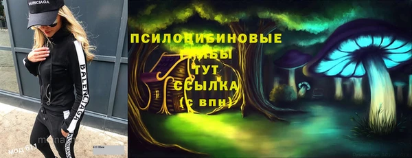 spice Беломорск