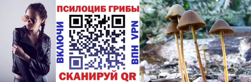Псилоцибиновые грибы GOLDEN TEACHER Октябрьский